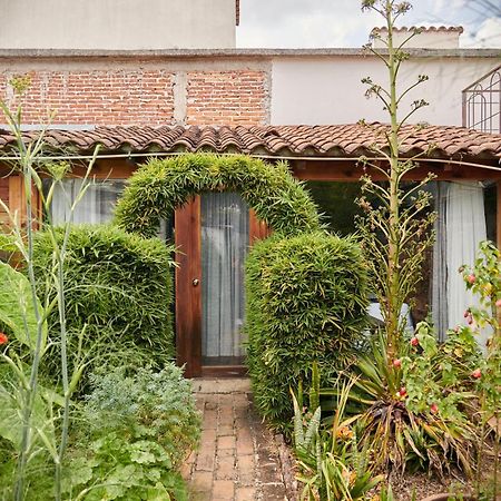 Sereno Hotel San Cristóbal de Las Casas Exteriér fotografie
