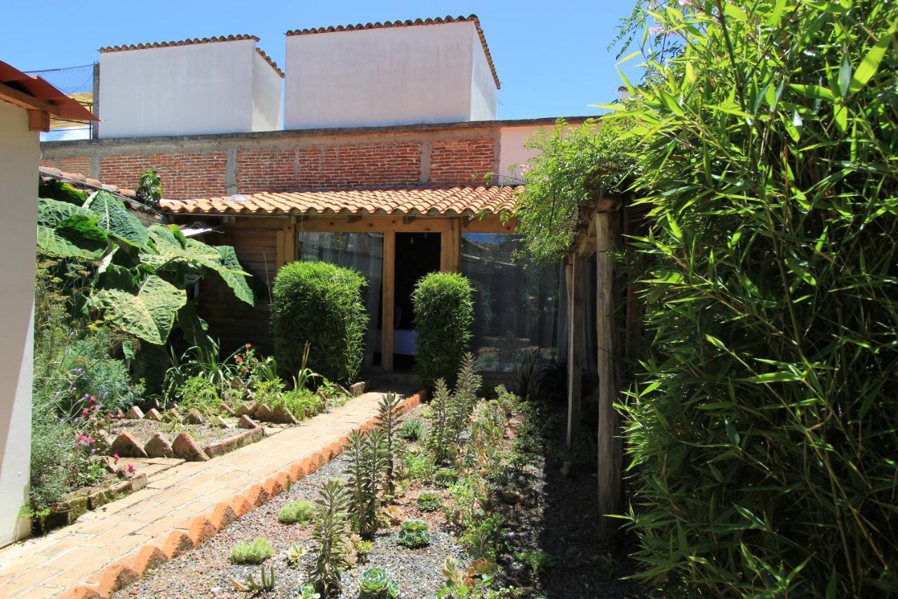 Sereno Hotel San Cristóbal de Las Casas Exteriér fotografie