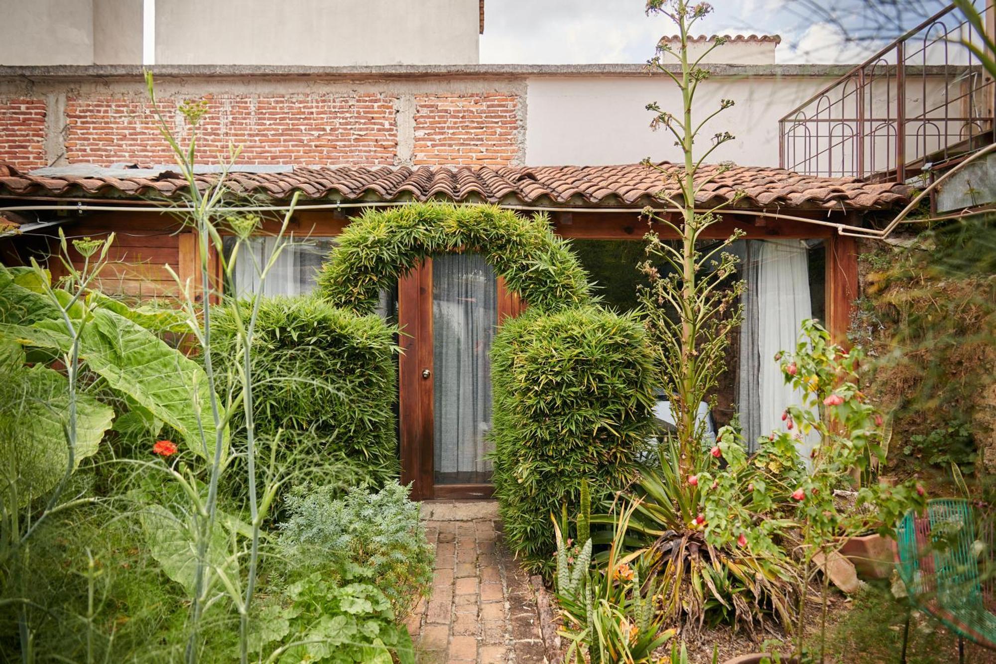 Sereno Hotel San Cristóbal de Las Casas Exteriér fotografie